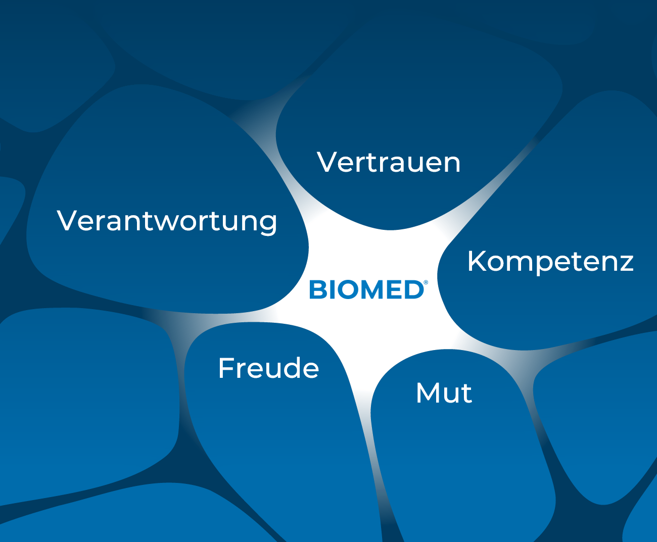 Biomed Werte